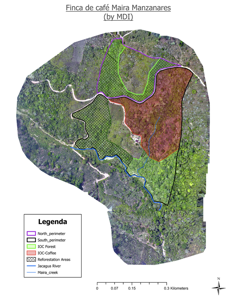 A map of an IOC coffee farm, generated by a multispectral remote sensing drone, and showing the areas of the farm where coffee is planted and where reforestation is taking place.
